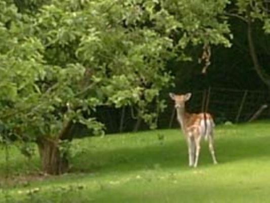 เดอะ บาร์น แอท วูดวิว Bed & Breakfast Hildenborough ภายนอก รูปภาพ